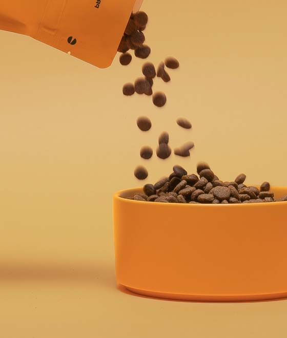 Consumer Goods: How the Enterprise-Level Intelligent Agent System GEA Enables Continuous Evolution of Product Innovation